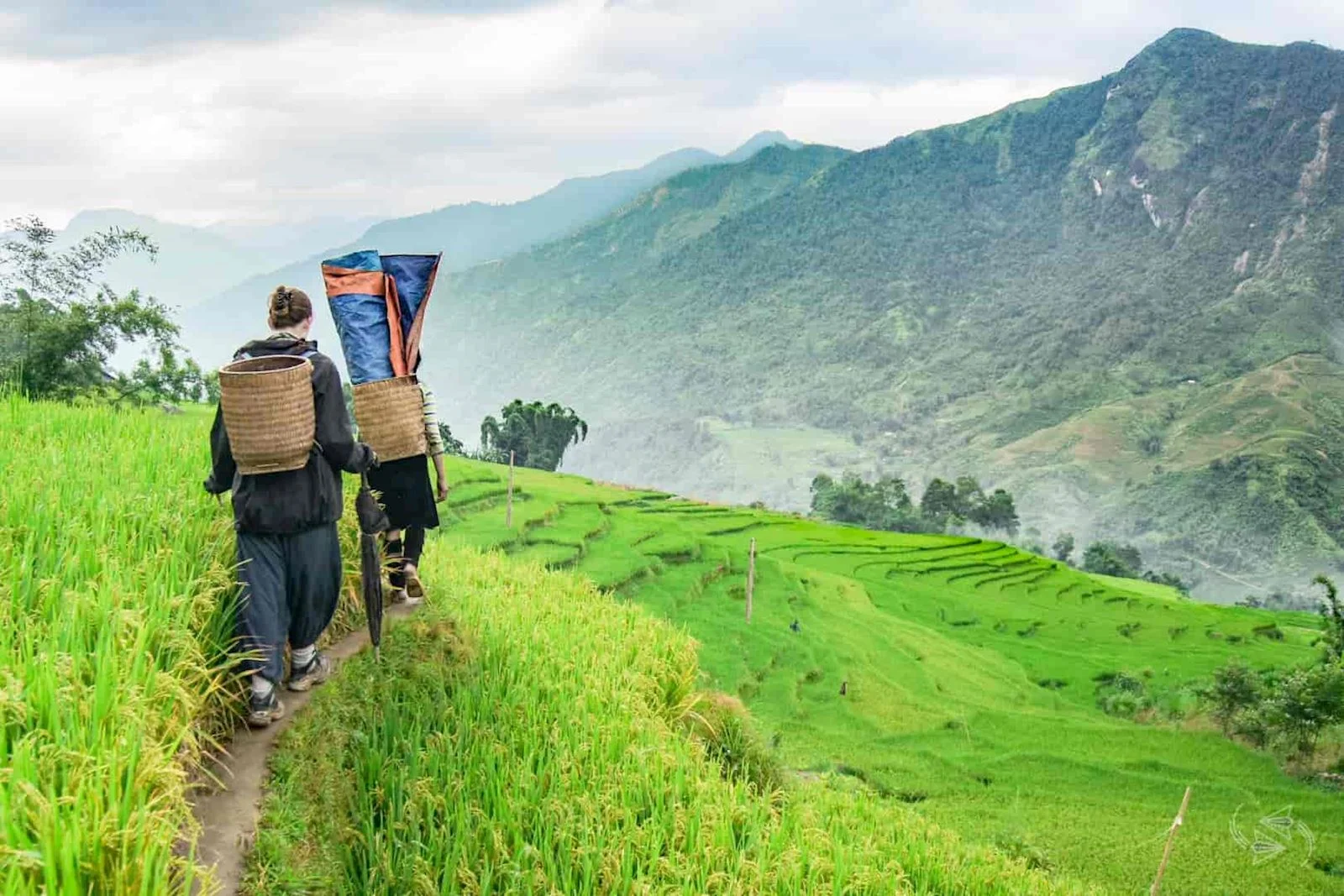 Sapa Trekking Valley Vietnam.jpg
